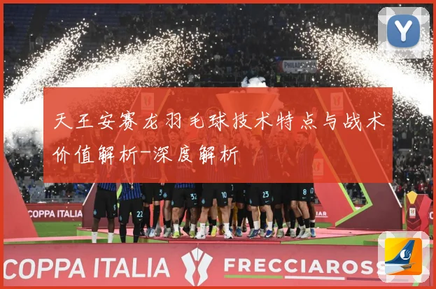 天王安赛龙羽毛球技术特点与战术价值解析-深度解析