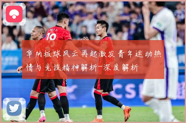 华纳板球风云再起激发青年运动热情与竞技精神解析-深度解析