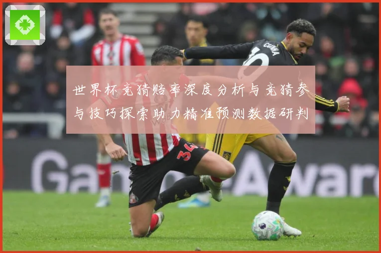 世界杯竞猜赔率深度分析与竞猜参与技巧探索助力精准预测数据研判-深度解析