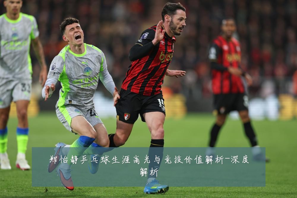郑怡静乒乓球生涯高光与竞技价值解析-深度解析