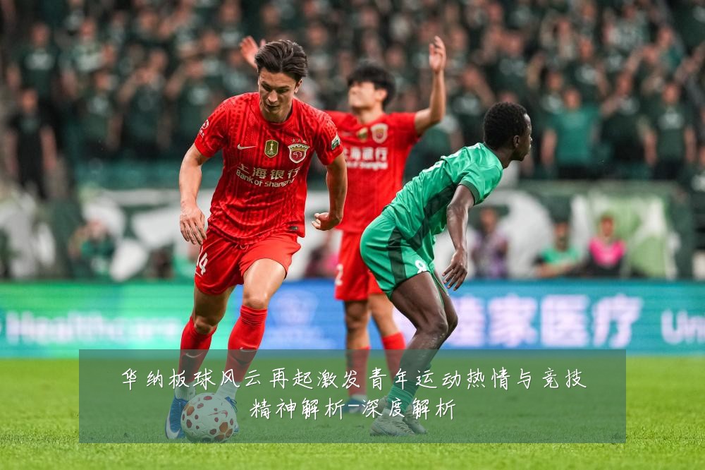 华纳板球风云再起激发青年运动热情与竞技精神解析-深度解析